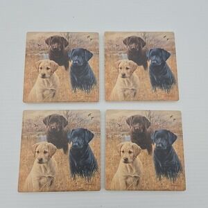 Labrador Retriever Absorbent Stone Coasters Set of 4 Box Made in USA Dogs